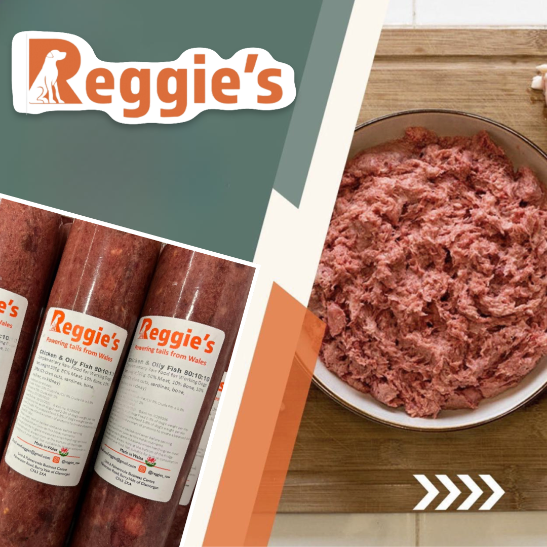 Is raw chicken outlet mince good for dogs